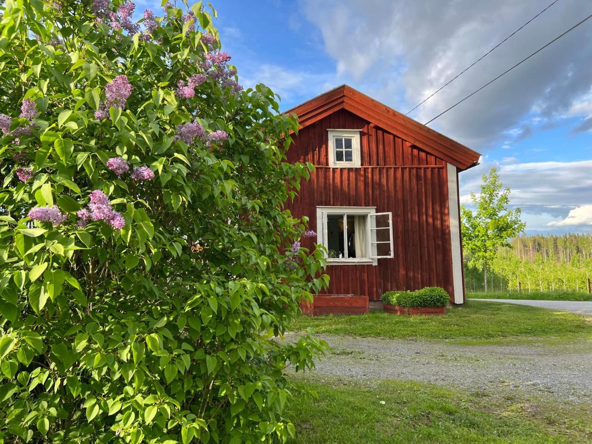 Lilla Backstugan Nora  Exterior foto